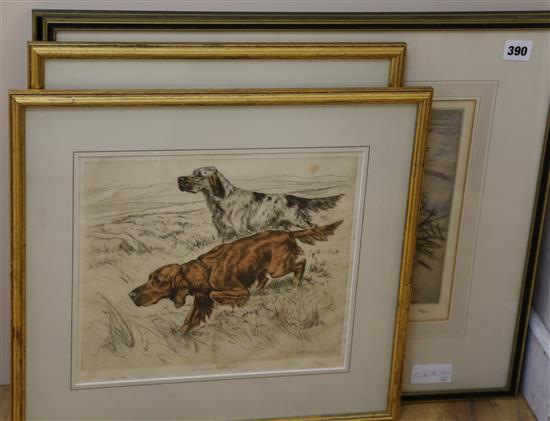 George Vernon Stokes, 2 etchings, Setters in a landscape and Spaniel flushing a pheasant, signed in pencil, 25 x 30cm.